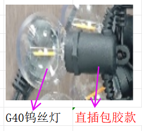 Festoon lights and socket strings — XB-2609-5M-10L