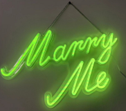 Decorative neon signs — XB-26-2A
