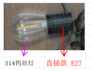 Festoon lights and socket strings — XB-2612-5M-10L