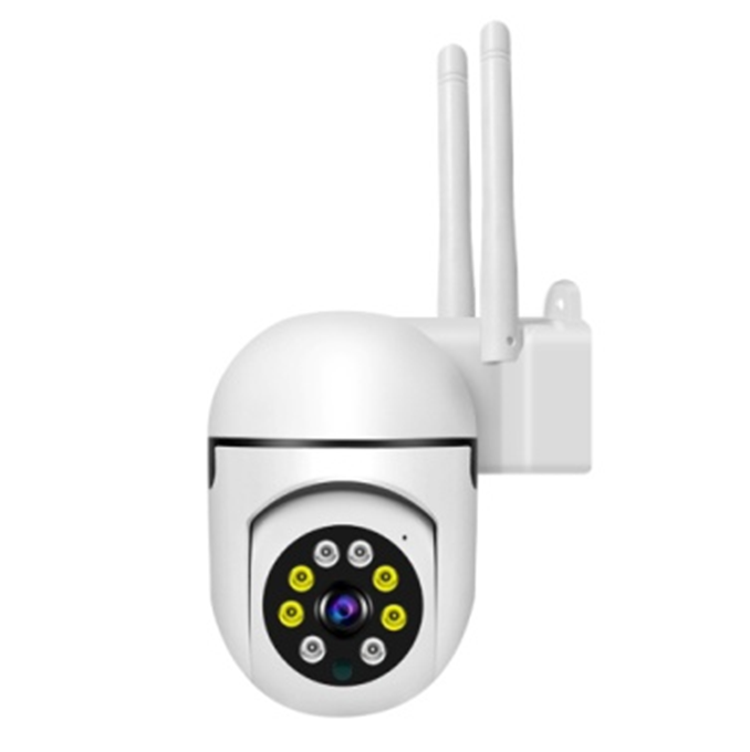 White dome camera with twin antennas